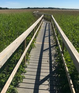 Bild på spång med däck av Neular däcksplankor